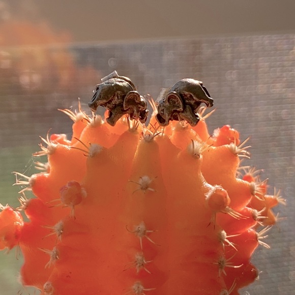 Tiny dainty .925 Sterling silver Elephant Boho studs pair earrings ta… - Picture 4 of 7